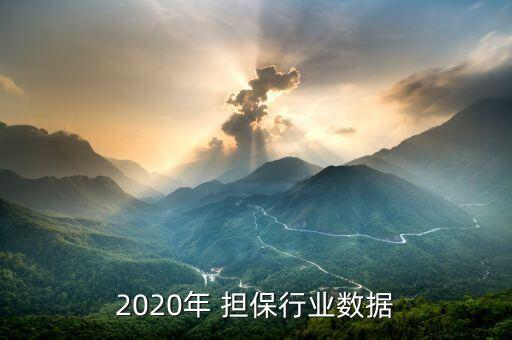 2020年 擔(dān)保行業(yè)數(shù)據(jù)