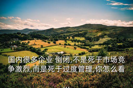 國內(nèi)很多企業(yè) 倒閉,不是死于市場競爭激烈,而是死于過度管理,你怎么看...