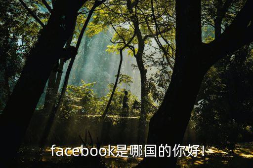  facebook是哪國的你好!