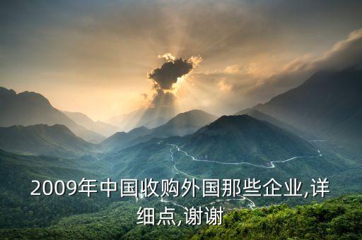 2009年中國收購?fù)鈬切┢髽I(yè),詳細(xì)點,謝謝