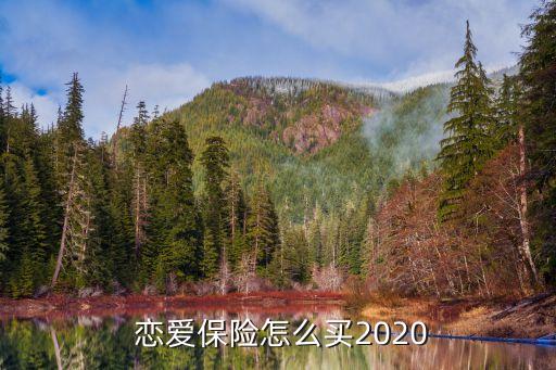  戀愛保險怎么買2020