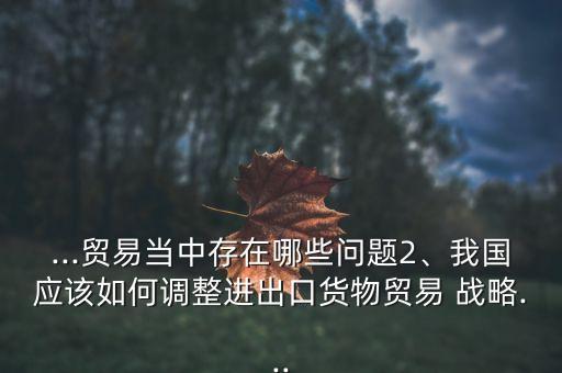 ...貿(mào)易當(dāng)中存在哪些問題2、我國應(yīng)該如何調(diào)整進(jìn)出口貨物貿(mào)易 戰(zhàn)略...