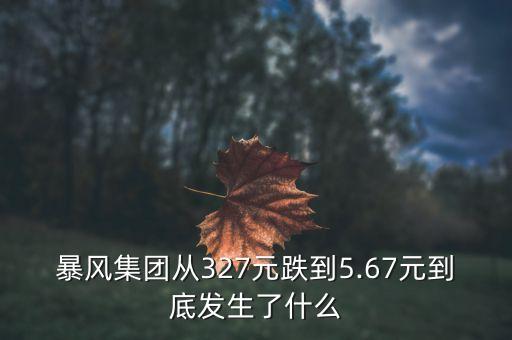 暴風(fēng)集團(tuán)從327元跌到5.67元到底發(fā)生了什么