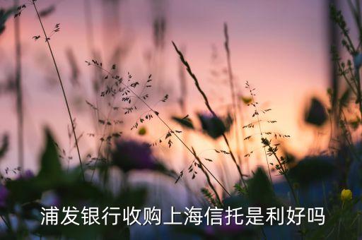 上海浦發(fā)東啟資產(chǎn)經(jīng)營(yíng)管理有限公司