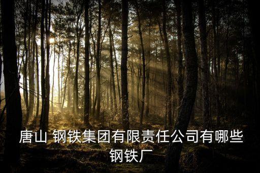  唐山 鋼鐵集團有限責(zé)任公司有哪些 鋼鐵廠