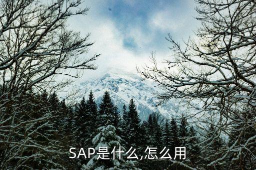 SAP是什么,怎么用