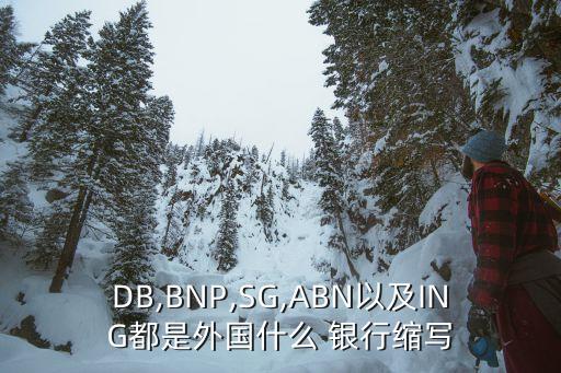 DB,BNP,SG,ABN以及ING都是外國(guó)什么 銀行縮寫