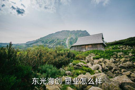 塑業(yè)公司建議,中侖塑業(yè)公司好不好