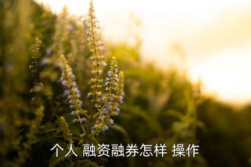 個(gè)人 融資融券怎樣 操作