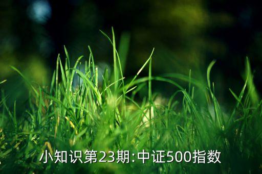 小知識第23期:中證500指數(shù)