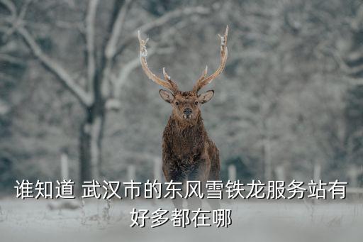 誰知道 武漢市的東風雪鐵龍服務站有好多都在哪