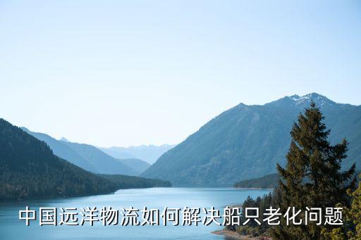 中國遠(yuǎn)洋物流如何解決船只老化問題