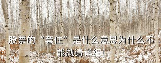  股票的“套住”是什么意思為什么不能拋請(qǐng)?jiān)敿?xì)!