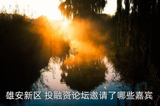 投融資平臺公司轉(zhuǎn)型,國有投融資平臺公司