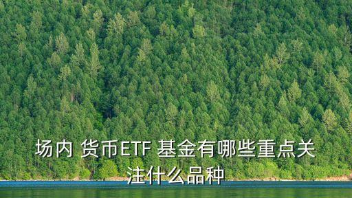 場內(nèi) 貨幣ETF 基金有哪些重點關注什么品種