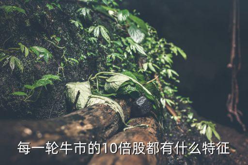 每一輪牛市的10倍股都有什么特征