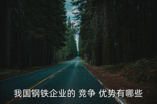 我國(guó)鋼鐵企業(yè)的 競(jìng)爭(zhēng) 優(yōu)勢(shì)有哪些