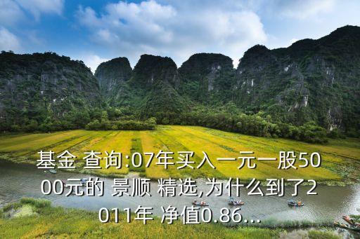 基金 查詢(xún):07年買(mǎi)入一元一股5000元的 景順 精選,為什么到了2011年 凈值0.86...