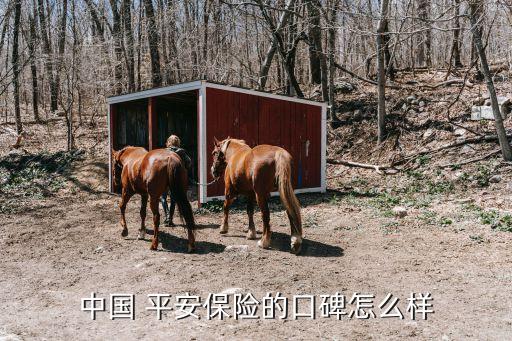 中國 平安保險的口碑怎么樣