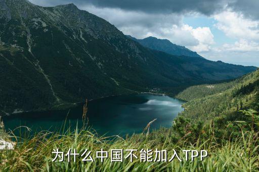 wto中國(guó)承諾與tpp,中國(guó)加入WTO的影響