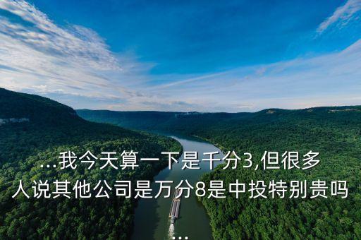 ...我今天算一下是千分3,但很多人說(shuō)其他公司是萬(wàn)分8是中投特別貴嗎...