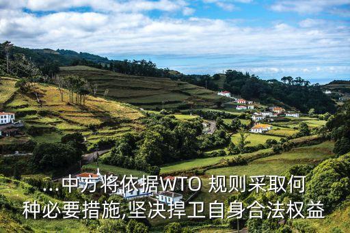 ...中方將依據(jù)WTO 規(guī)則采取何種必要措施,堅決捍衛(wèi)自身合法權(quán)益