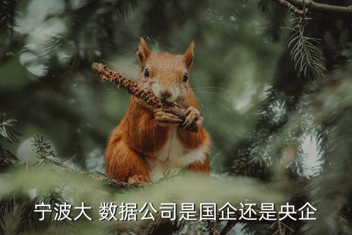 數(shù)據(jù)服務(wù)公司經(jīng)營范圍,養(yǎng)老服務(wù)公司的經(jīng)營范圍是什么