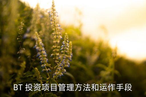 BT 投資項(xiàng)目管理方法和運(yùn)作手段