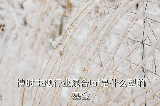  博時(shí)主題行業(yè)混合lof是什么型的 基金