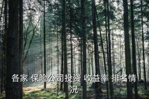 各家 保險(xiǎn)公司投資 收益率 排名情況