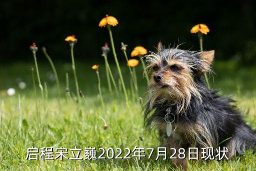 啟程宋立巍2022年7月28日現(xiàn)狀