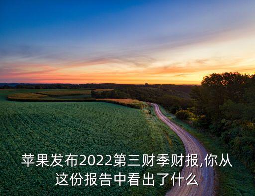 蘋果發(fā)布2022第三財(cái)季財(cái)報(bào),你從這份報(bào)告中看出了什么