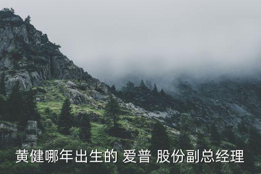 黃健哪年出生的 愛(ài)普 股份副總經(jīng)理