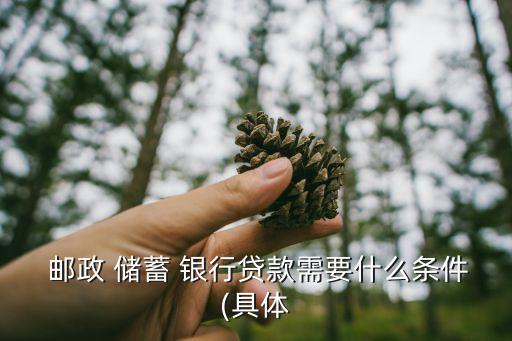  郵政 儲(chǔ)蓄 銀行貸款需要什么條件(具體