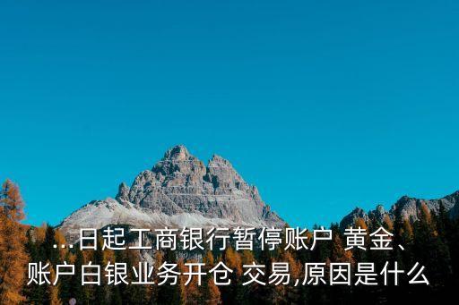 ...日起工商銀行暫停賬戶 黃金、賬戶白銀業(yè)務開倉 交易,原因是什么