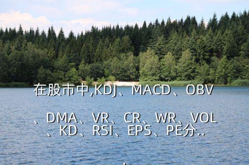 在股市中,KDJ、MACD、OBV、DMA、VR、CR、WR、VOL、KD、RSI、EPS、PE分...