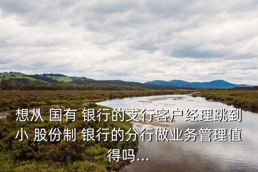 想從 國(guó)有 銀行的支行客戶經(jīng)理跳到小 股份制 銀行的分行做業(yè)務(wù)管理值得嗎...