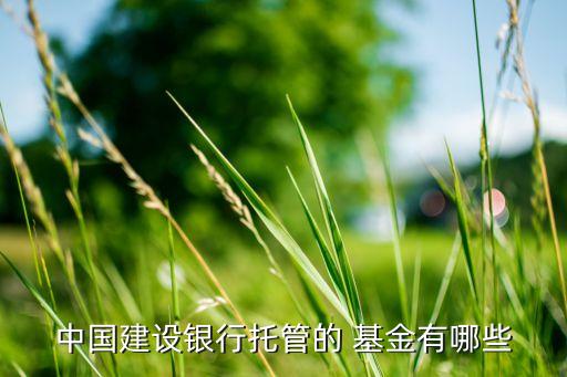 華夏興和混合型基金,華夏科技創(chuàng)新混合型基金