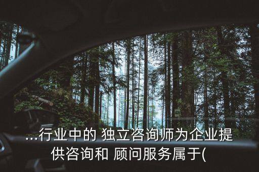 ...行業(yè)中的 獨立咨詢師為企業(yè)提供咨詢和 顧問服務屬于(