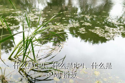 什么是CPI、什么是PPI、什么是PMI 指數(shù)