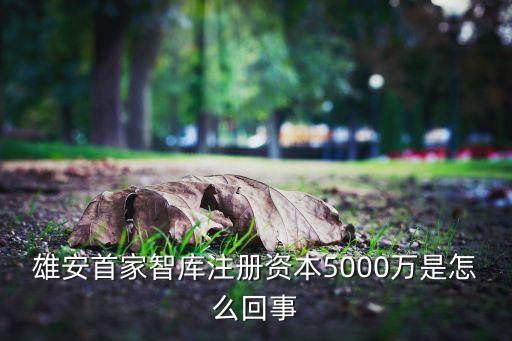 雄安首家智庫注冊(cè)資本5000萬是怎么回事