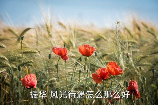 貴州振華風(fēng)光半導(dǎo)體有限公司