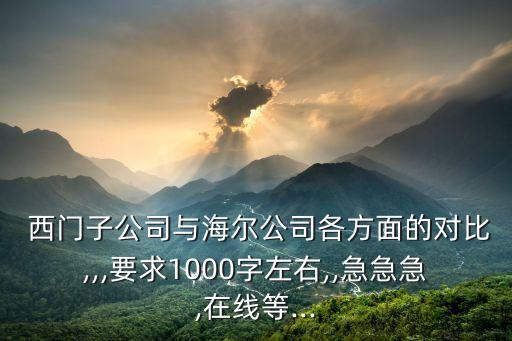  西門子公司與海爾公司各方面的對(duì)比,,,要求1000字左右,,急急急,在線等...