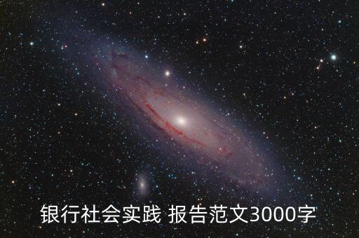 銀行社會實踐 報告范文3000字