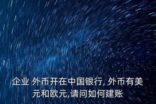 企業(yè) 外幣開在中國銀行, 外幣有美元和歐元,請問如何建賬