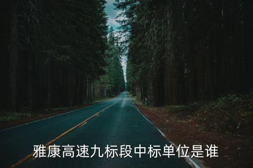 雅康高速九標段中標單位是誰