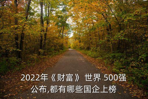 2022年《財富》 世界 500強(qiáng)公布,都有哪些國企上榜