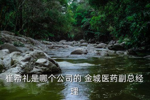 山東金城集團(tuán)董事長(zhǎng),招遠(yuǎn)金城集團(tuán)董事長(zhǎng)簡(jiǎn)介