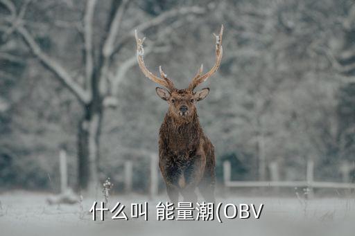 什么叫 能量潮(OBV