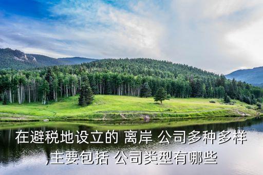 在避稅地設(shè)立的 離岸 公司多種多樣,主要包括 公司類型有哪些